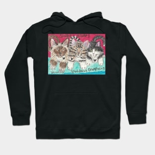 Spoiled Atears cat Hoodie